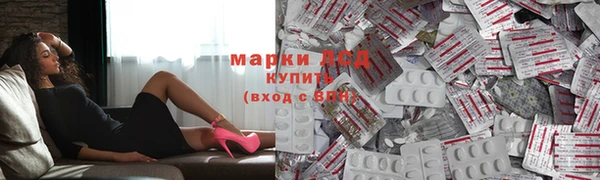 ECSTASY Вяземский