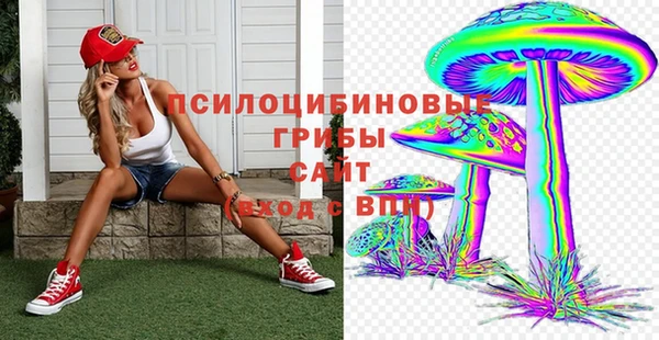 альфа пвп Няндома