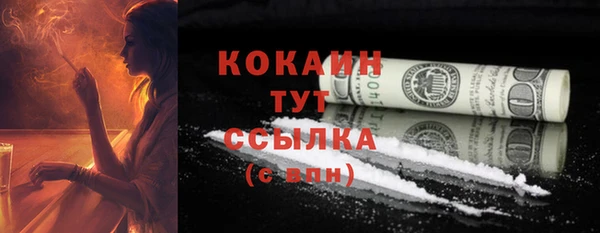 сатива Нягань