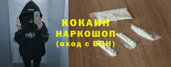 молекула духа Грязовец
