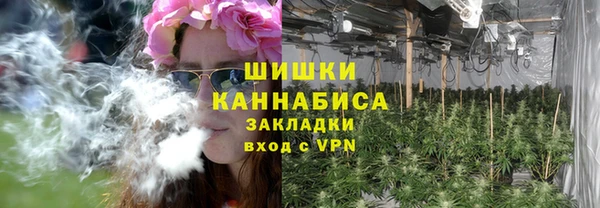 шишки Новозыбков