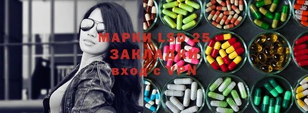 ГАЛЛЮЦИНОГЕННЫЕ ГРИБЫ Осинники