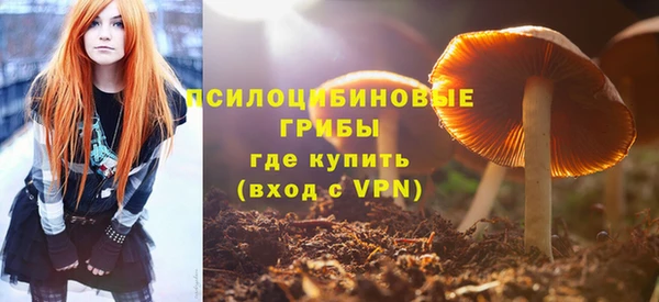 ГАЛЛЮЦИНОГЕННЫЕ ГРИБЫ Осинники