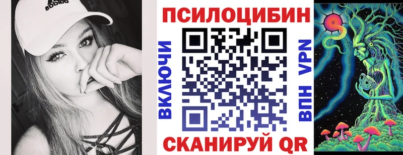Псилоцибиновые грибы Psilocybe Кадников